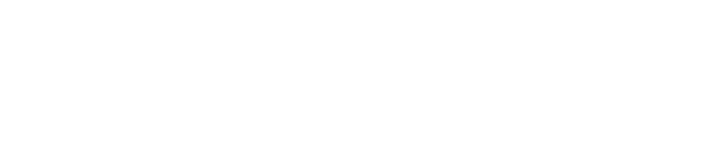 logo-bottan
